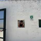...mentre due aperture nella parete servono come affaccio esterno del botteghino. Proprio da una di queste fa capolino la proprietaria Dionisia Cirasola, che ci invita ad entrare
